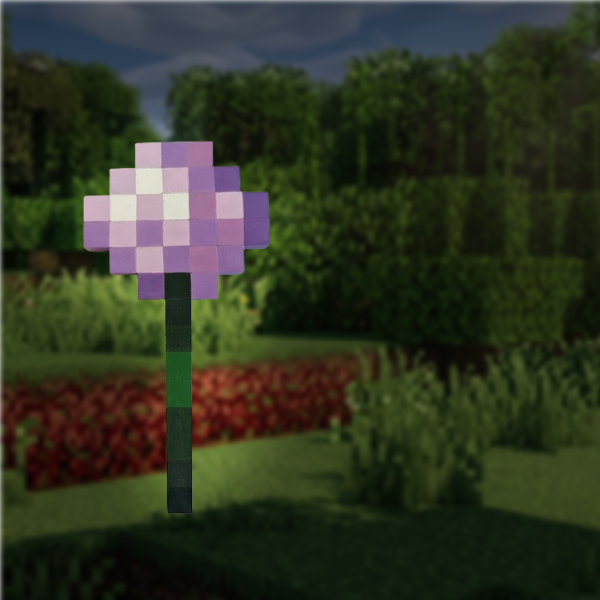 FLEUR ALLIUM