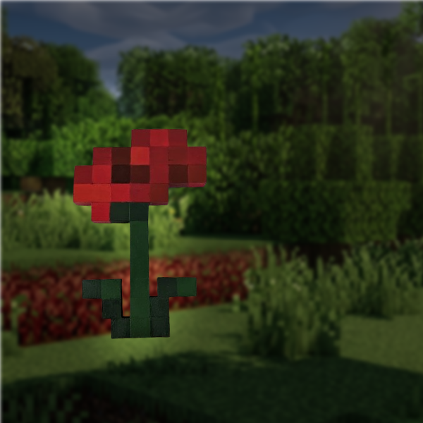 FLEUR ROSE
